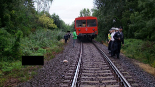 Kutyasétáltatás közben gázolta halálra a vonat