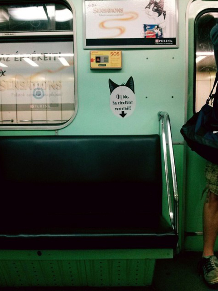 Menő: cicafül a hármas metrón