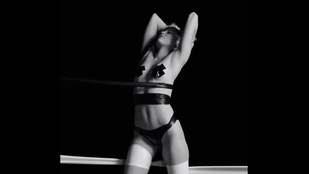 Miley Cyrus teste művészi videót ihletett