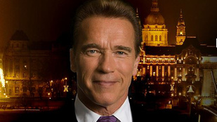 Félmillió egy közös kép Schwarzeneggerrel 