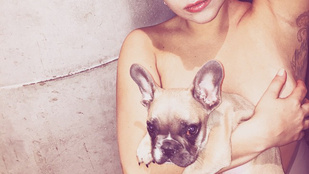 Lady Gaga egyszerre tartja a mellét és a kutyáját is a kezében