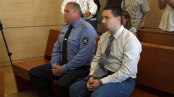 7 és fél évre ítélték a gólyatábori erőszakolót