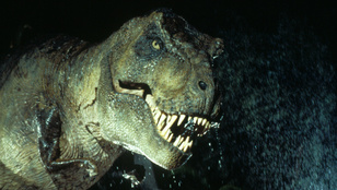 Hét dolog, amit biztosan nem tudott a Jurassic Parkról