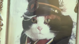 Ezrek gyászolták Japánban Tamát, az állomásfőnök-macskát