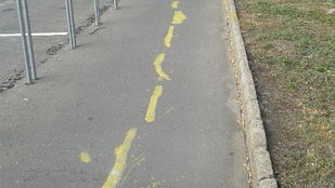 Talán biciklizés közben festették a csálé felezővonalat