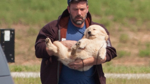 Ben Affleck cuki kutyát vett a gyerekeinek