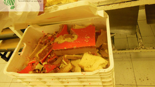 Szó szerint egérszar volt a tortadísz egy budapesti cukrászüzemben