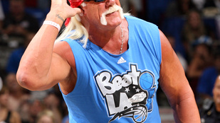 Hulk Hogant kirúgták, mert rasszista