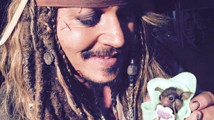 Dobjon el mindent: Johnny Depp denevérbébit etet