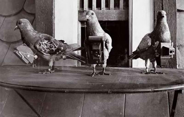 Dr. Julius Neubronner 1908-ban szabadalmaztatta miniatűr kameráját, melyben semmi különösen nem lett volna, ha azt nem galambokra szerelte volna fel. 