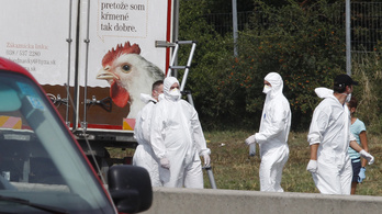 71 holttest is lehet az Ausztriában talált magyar rendszámú teherautóban