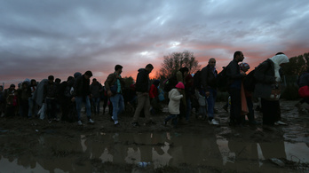 Nem szállítanak több menekültet a magyar határra