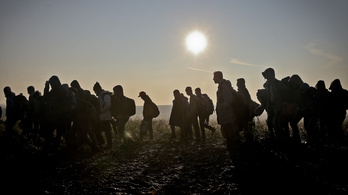 Segíthetnének a migránsok a magyar gazdaságon, csak nem akarnak nálunk maradni