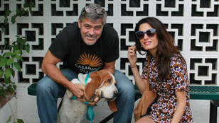 Cuki lénnyel bővült Clooney-ék családja