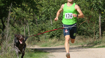 Fagyi kutya világbajnoki bronzéremig futtatta gazdáját