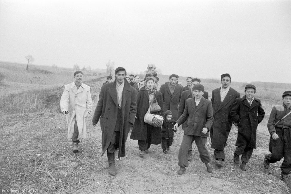 A magyar menekültáradat a szovjet tankok hazánkba érkezésével egy időben, november 4-én indult meg igazán. Azon a vasárnapon körülbelül hatezer menekült érkezett Ausztriába. November 23-án lépték át a határt a legtöbben, aznap 8537 magyar menekültet regisztráltak az osztrákok, írja Soós Katalin történész az Ausztriában működő Magyar Menekültügyi Segítőszolgálat (Ungarischer Flüchtlingshilfdienst) 1958. májusi beszámolójára hivatkozva.