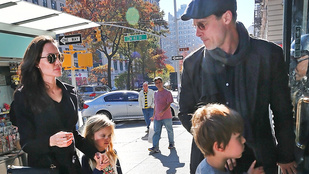 Brad Pitt és Angelina Jolie egy tucat gyereket akart