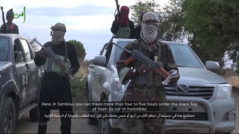 Az Iszlám Állam afrikai szárnyának 100 terroristáját kapták el