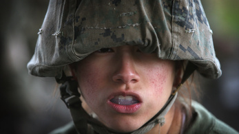 Kommandósnők, szabad a pálya: a teljes amerikai hadsereg koedukált lesz