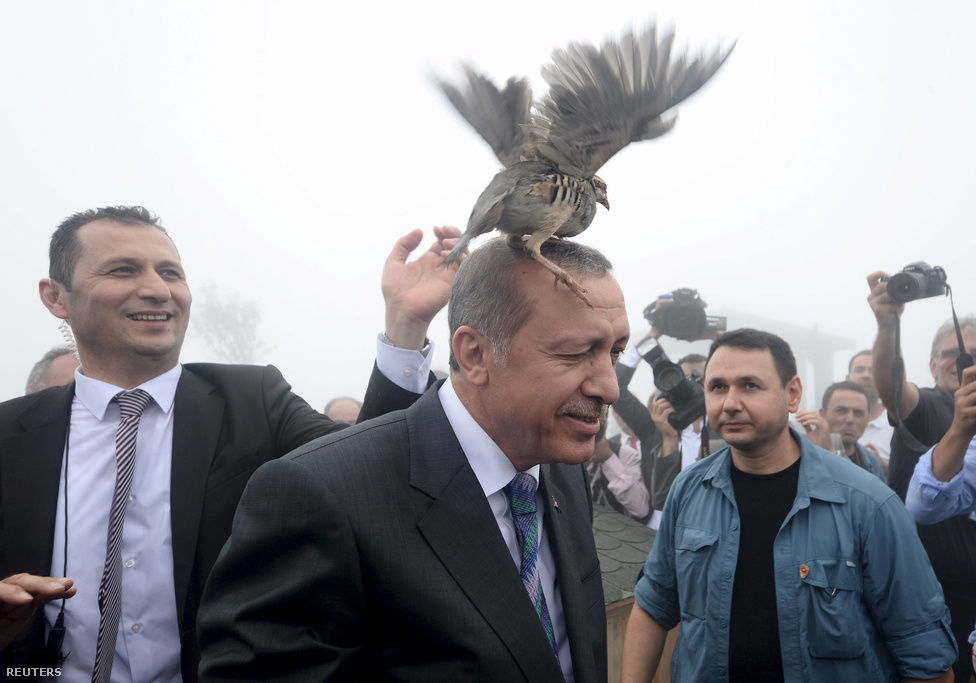 Recep Tayyip Erdogannak meggyűlt a baja egy mecset avatóünnepségén egy szabadon engedett fajddal. Erdogan államfői székre cserélte miniszterelnöki posztját, de a nyár eleji parlamenti választásokkal szertefoszlani látszottak az erős elnöki rendszer kiépítésére irányuló tervei. A kormányzó Igazság és Fejlődés Pártja (AKP) 2002 óta először még abszolút többségét is elbukta. Végül az előrehozott választásokon már sikerült többséget szerezniük. Erdogan a választások miatt is aktivizálta magát, és bombázásba kezdett elvileg az Iszlám Állam, a gyakorlatban sokkal inkább a kurdok ellen. Állítólag maga Erdogan döntötte el még októberben, hogy ki fognak lőni egy orosz katonai gépet, hogy így erősítse meg belföldi pozícióit a pártja által nehezen megnyert választások árnyékában. A november végén lelőtt repülő miatt felbőszült Moszkva leépítette a kapcsolatait a korábban még stratégiai partnernek tekintett Törökországgal. Erdogannal a még mindig közel kétmillió szíriai menekültnek helyet adó Törökország egyértelműen az egyik kulcsszereplővé nőtte ki magát a régióban.