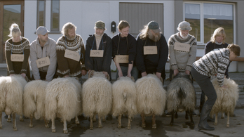 Izlandon a bárányok is máshogy hallgatnak