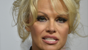 Érdekes felfedezésekre jut, aki közelről nézi Pamela Anderson arcát