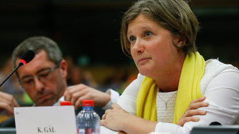 Magyar politikussal üvöltöztek az EP dán vitáján