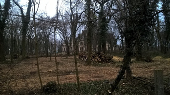 Állítólag fákat vágtak ki a turai kastélyparkban, de nem biztos