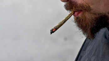 Kannabiszklubok nyílnak Svájcban