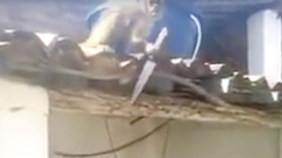 Nincs rosszabb a késsel hadonászó részeg majomnál