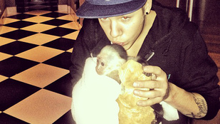 Justin Bieber egy újabb majomra vágyik