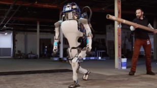 Simán feltápászkodik már a Google robotja, ha felrúgják