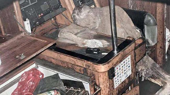 Rejtély a mumifikálódott német hajótulajdonos halála