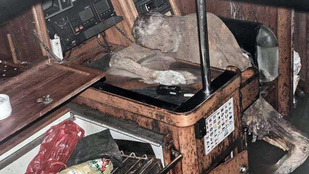 Búcsúlevelet írt feleségének a szellemhajón talált német múmia