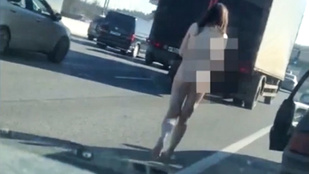 Meztelen nő miatt állt a forgalom az autópályán