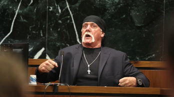 Újabb 25 millió dollárt ítéltek meg Hulk Hogannek