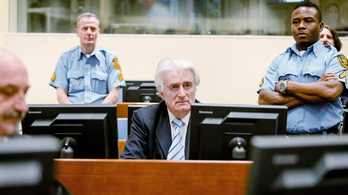 Hága megállapította Karadžić bűnösségét, 40 évet kapott