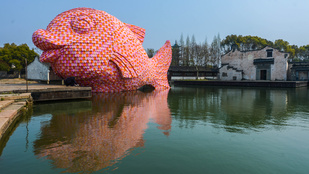 Óriási rózsaszín hal bukkant fel Kínában