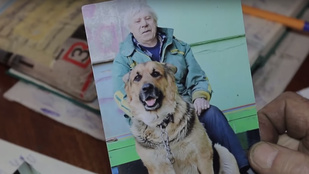 Belehalt kutyája elvesztésébe ez az orosz férfi