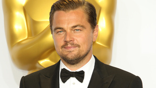 Ezért egy újabb Oscar-díjat érdemelne Leonardo DiCaprio
