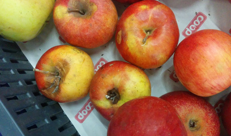 Ha olcsón adják a rohadt almát, az még nem akciós!