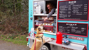 Miért pont a kutyáknak ne lehetne food truckja?