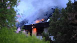 Ikerház lángolt a XI. kerületben