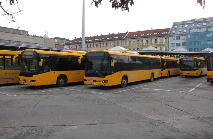 Húsz Credo Econell már két éve forgalomban van a Volánbusznál. Az állami cég azóta sem vásárolt magyar gyártású autóbuszt