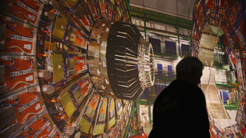 Menyét okozott áramszünetet az LHC-ben