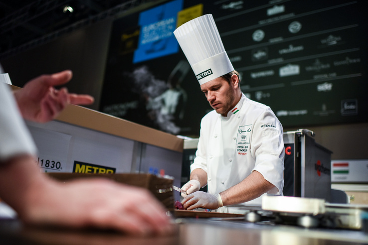 Nyolcadikként kezdett ma főzni a magyar csapat, élén Széll Tamással, a világ legnagyobb szakácsversenyének, a Bocuse d'Or-nak európai döntőjén, Budapesten.