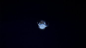 Űrszemét karcolta meg az űrállomás üvegét