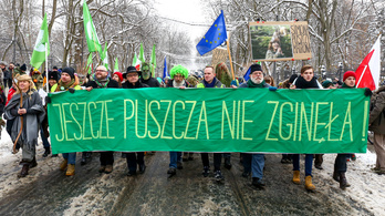 A lengyel kormány nekimegy az ősi erdőnek
