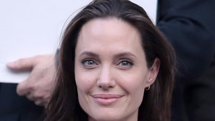 Angelina Jolie egyetemi tanár lesz