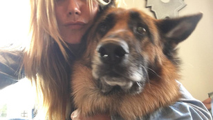 Instagramhíradó: szép nők jönnek, kutyákkal!